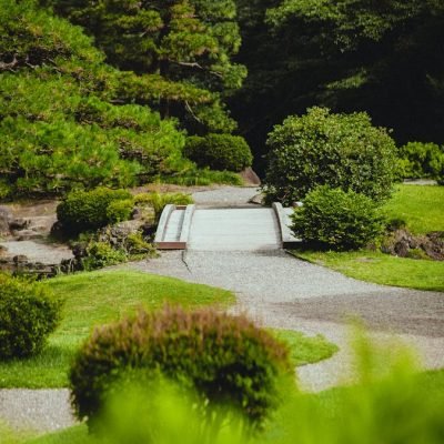 landscaping